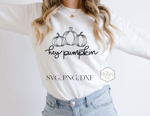 Hand Drawn Pumpkin SVG PNG DXF Oh my Gourd Hey Pumpkin SVG The Honey Company 