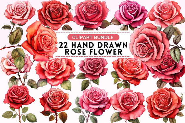 Hand Drawn Rose Flower Clipart Sublimation Regulrcrative 