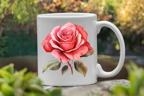 Hand Drawn Rose Flower Clipart Sublimation Regulrcrative 