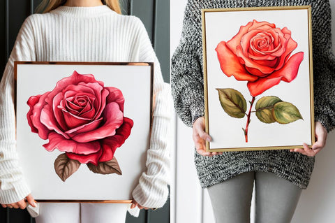 Hand Drawn Rose Flower Clipart Sublimation Regulrcrative 