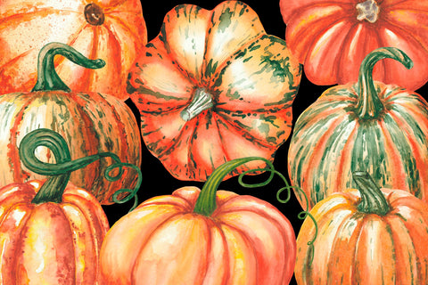 Hand Painted Watercolor Pumpkins Clipart Sublimation Yuliya 