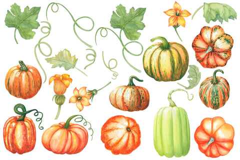 Hand Painted Watercolor Pumpkins Clipart Sublimation Yuliya 