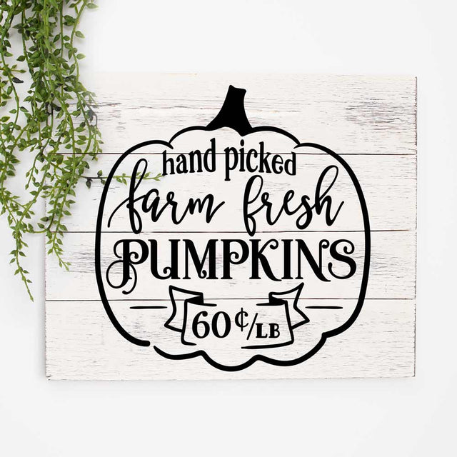 Hand picked farm fresh Pumpkins - Fall Thanksgiving Autumn SVG SVG Chameleon Cuttables 
