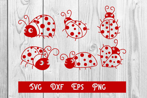 Handrawn Bug, graphict, cut file svg, valentine SVG dadan_pm 