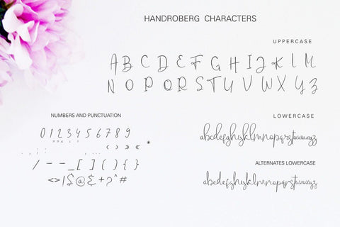 Handroberg font Font Leamsign Studio 