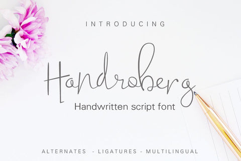 Handroberg font Font Leamsign Studio 