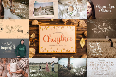 Handwritten Font Bundle Vol 14 Font StringLabs 