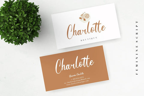 Hanessy Feminine Script Font Creatype Studio 