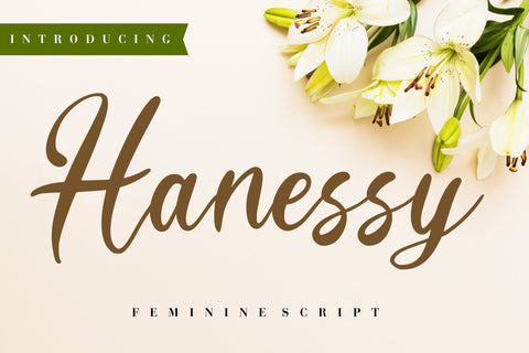 Hanessy Feminine Script Font Creatype Studio 