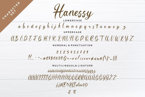 Hanessy Feminine Script Font Creatype Studio 