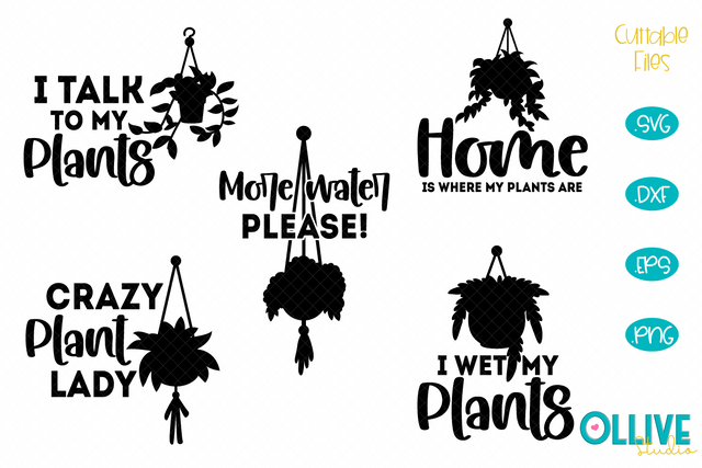 Hanging plants SVG Quotes SVG Ollive Studio 