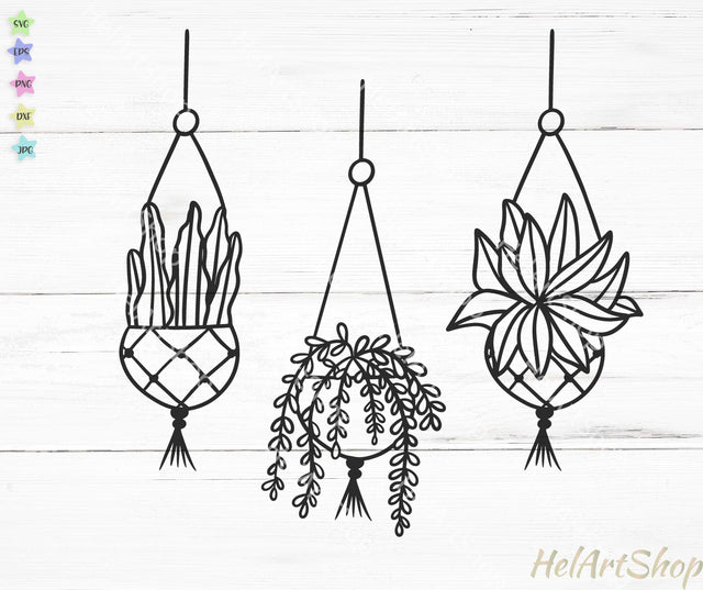 Hanging plants svg SVG _HelArtShop_ 