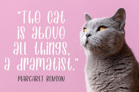 Happy Cactus Font Madatype Studio 