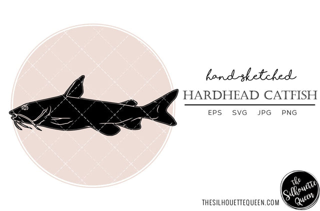 Hardhead Catfish Hand sketched, hand drawn vector clipart SVG Loveleen Kaur 