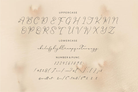 Hardyela Sandert - Ballpoint Signature Font Storytype Studio 