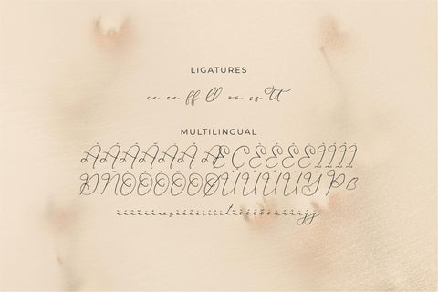 Hardyela Sandert - Ballpoint Signature Font Storytype Studio 