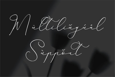 Hardyela Sandert - Ballpoint Signature Font Storytype Studio 