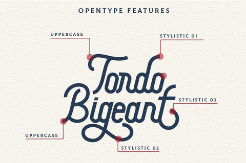 Hargael - Vintage Script Font Font Vultype Co 