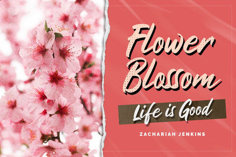 Haritta - Handwritten Script Font Font Ibey Design 