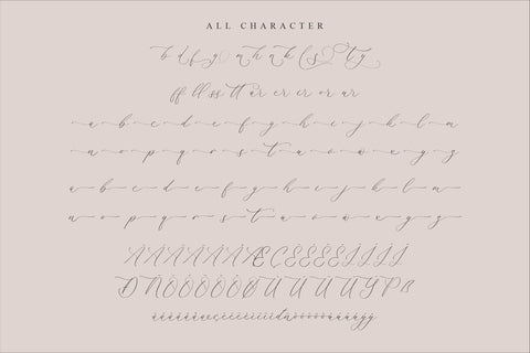 Harlyetta Mordila - Luxury Calligraphy Font Storytype Studio 