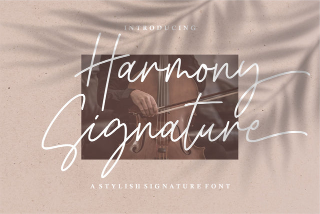 Harmony Signature Font Qwrtype Foundry 