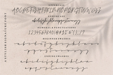 Harmony Signature Font Qwrtype Foundry 