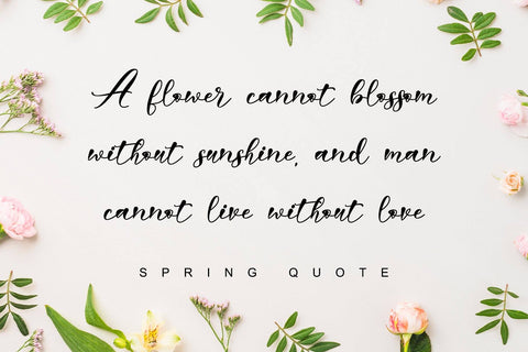 Harriet Font Letterara 