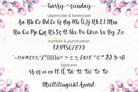 Harry Sunday - Script Font Font Attype studio 
