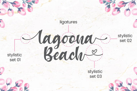 Harry Sunday - Script Font Font Attype studio 