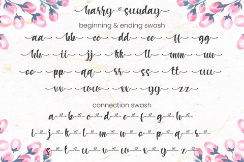 Harry Sunday - Script Font Font Attype studio 