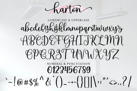 Harton Font Rotterlab studio 