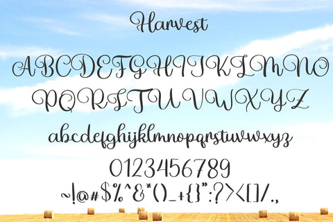 Harvest Font letterbeary 