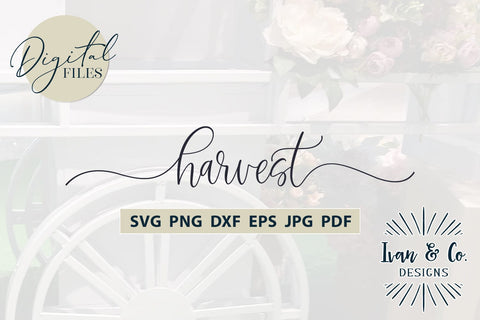 Harvest Svg Files, Thanksgiving Svg, Fall Svg, Autumn Svg, Cricut Svg, Silhouette Designs, Digital Cut Files, JPG DXF PNG (808458840) SVG Ivan & Co. Designs 