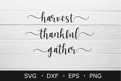 Harvest Thankful Gather svg , Thanksgiving svg, svg cut file SVG Chamsae Studio 