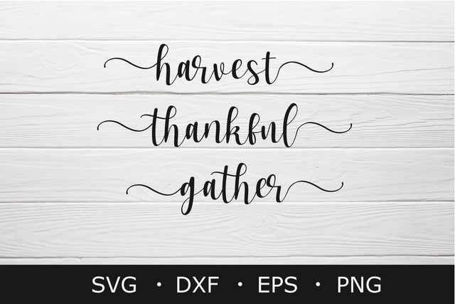 Harvest Thankful Gather svg , Thanksgiving svg, svg cut file SVG Chamsae Studio 