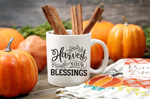Harvest Your Blessings, Thanksgiving SVG Design SVG futivesvg 
