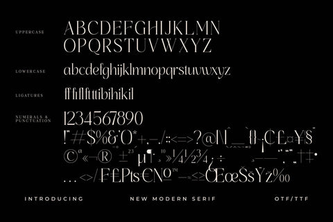 Hatficeld Typeface Font Storytype Studio 