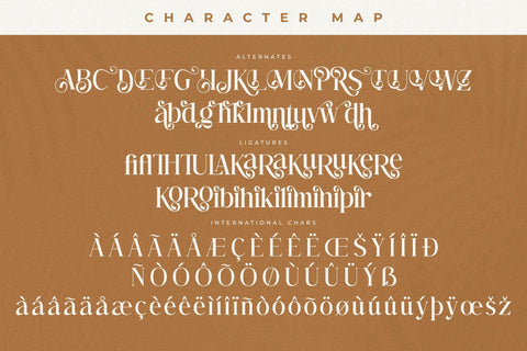 Hatfielin Typeface Font Storytype Studio 