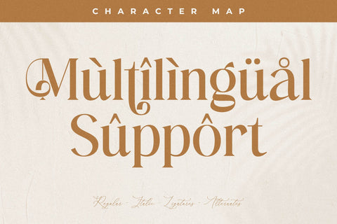 Hatfielin Typeface Font Storytype Studio 