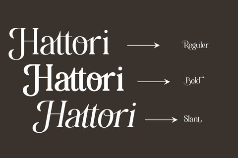 Hattori Elegant Font Font Zane Studio55 