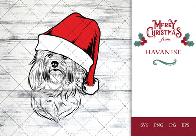 Havanese dog svg portrait clipart vector graphic art Xmas hat Christmas dog Cricut cut file cuttable design SVG Loveleen Kaur 