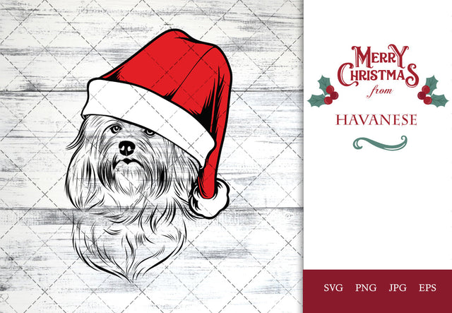 Havanese dog svg portrait clipart vector graphic art Xmas hat Christmas dog Cricut cut file cuttable design SVG Loveleen Kaur 