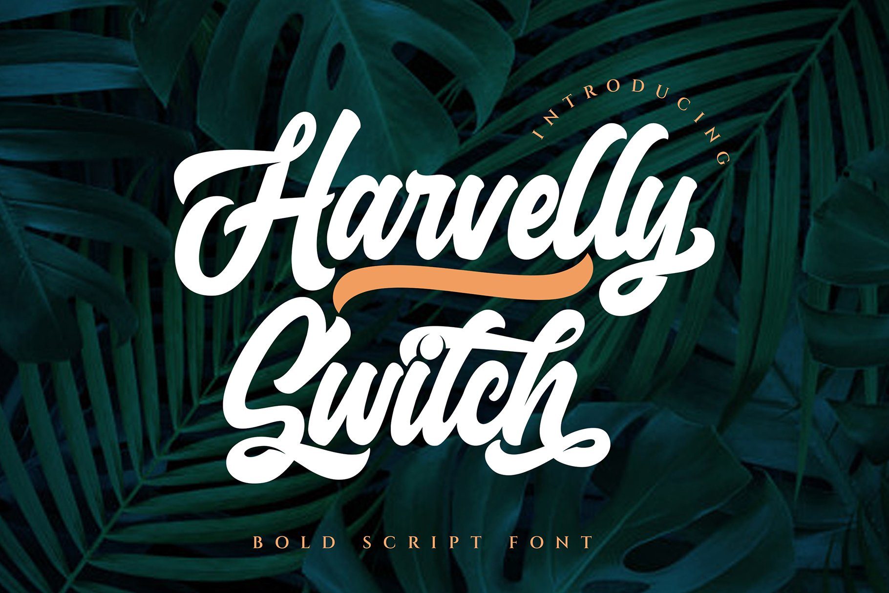Bold Script Font