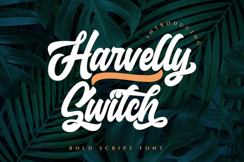 Haverlly Switch - Bold Script Font Font Graphicxell 