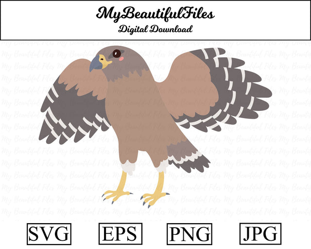 Hawk - Animal SVG MyBeautifulFiles 