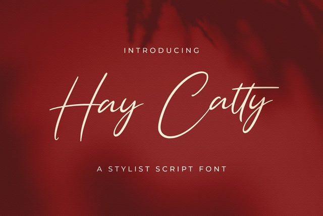 Hay Catty - Handwritten Font Font StringLabs 