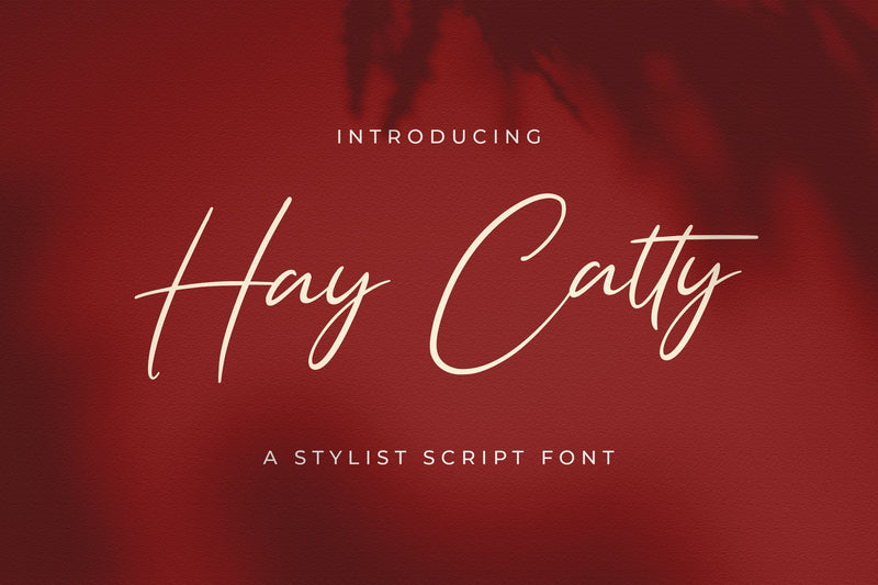 Hay Catty - Handwritten Font Font StringLabs 