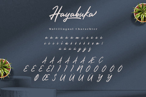 Hayabuka - Signature Font Font Ibey Design 