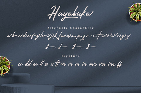 Hayabuka - Signature Font Font Ibey Design 
