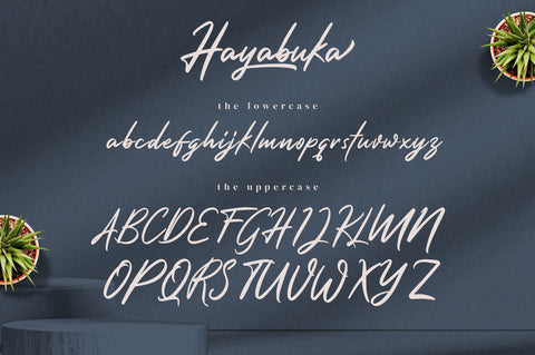 Hayabuka - Signature Font Font Ibey Design 